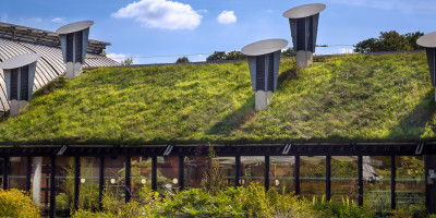 Toiture verte à Bruxelles et Namur : avantages